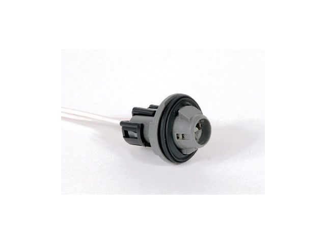 1995-2004 Chevrolet S10 License Lamp Socket - Rear (ACDelco)