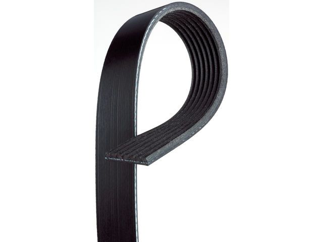 2004-2009 Toyota 4Runner Accessory Drive Belt (ACDelco)