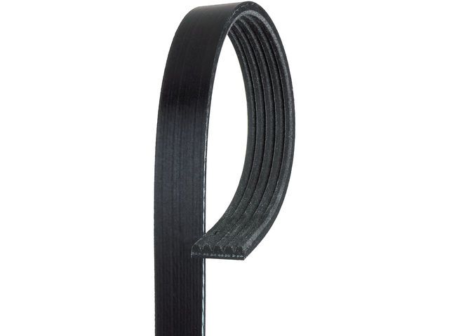 2008-2010 Pontiac G5 Accessory Drive Belt (ACDelco)