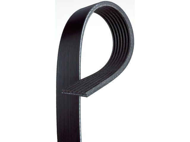 2006-2011 Honda Civic Accessory Drive Belt (ACDelco)