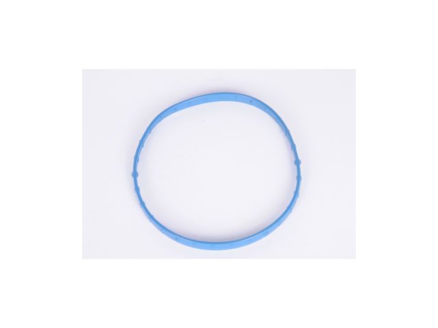 Fuel Injection Throttle Body Mounting Gasket
