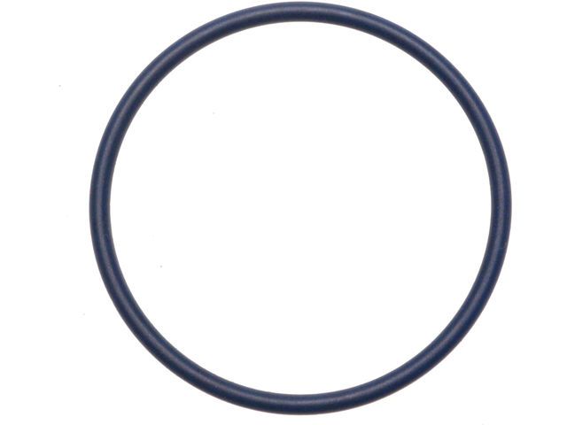 1996, 1995, 1994, 1993, 1992, 1991, 1990, 1989, 1988, 1987, 1986, 1985 Chevrolet Astro Chassis Vehicle Speed Sensor Seal
