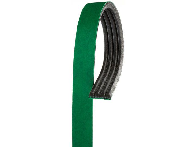 Accessory Drive Belt
