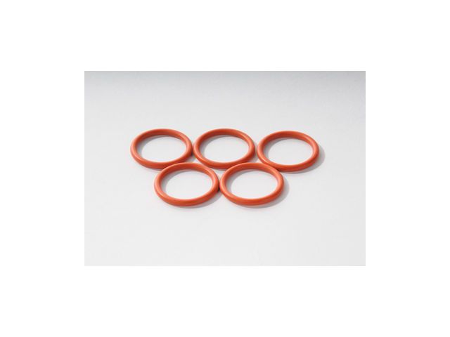 2005, 2004, 2003, 2002, 2001, 2000 Chevrolet Impala Belt Tensioner Assembly O-Ring