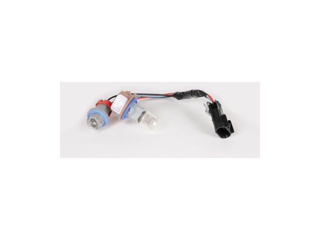 2012, 2011, 2010, 2009 Chevrolet Traverse Tail Lamp Socket