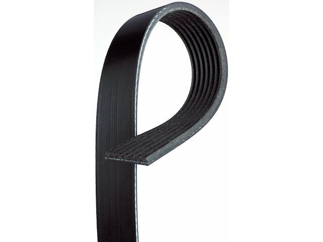 Accessory Drive Belt