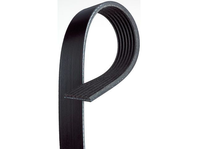 2012, 2011, 2010, 2009, 2008 INFINITI EX35 Accessory Drive Belt