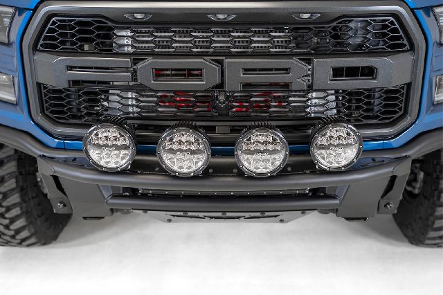 2017-2020 Ford F-150 Bumper Guard (Addictive Desert Designs)