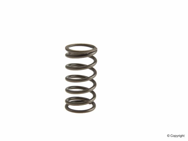 1983-1991 Volkswagen Vanagon Engine Valve Spring - Inner (AMC)