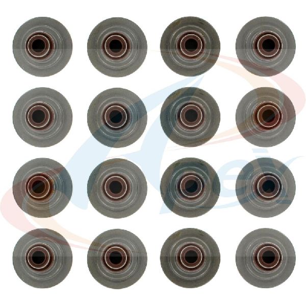 2000-2004 Ford Focus Engine Valve Stem Oil Seal Set (Apex)