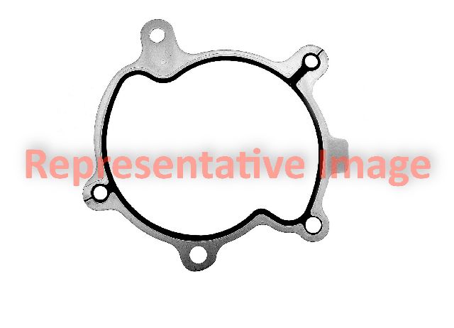 2001 Mazda Tribute Engine Water Pump Gasket (Apex)