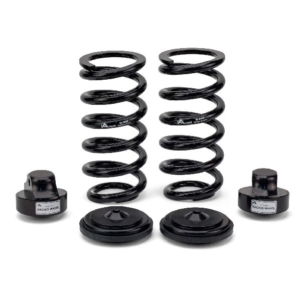 2004-2006 Mercedes-Benz E500 Air Spring to Coil Spring Conversion Kit - Rear (Arnott)