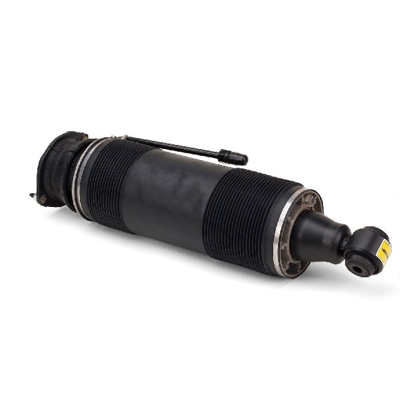 2007-2008 Mercedes-Benz SL55 AMG Suspension Strut - Rear Right (Arnott)