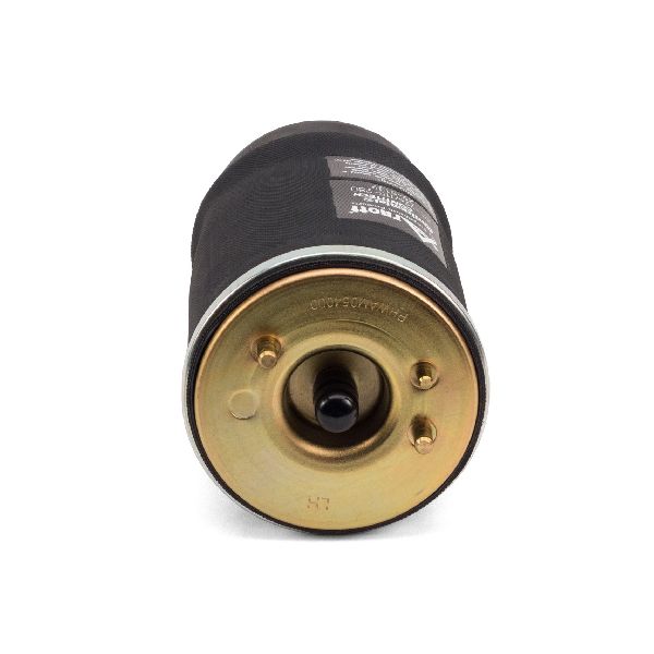 2000-2006 BMW X5 Air Suspension Spring - Rear Left (Arnott)