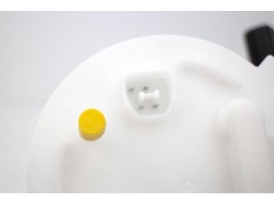 2010-2012 Ford Flex Fuel Pump Module Assembly (AutoBest)