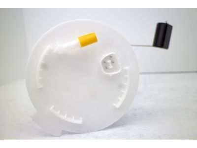 2009 Ford Flex Fuel Pump Module Assembly (AutoBest)