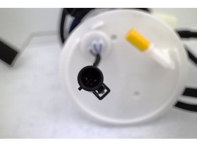 2003-2005 Lincoln LS Fuel Pump Module Assembly (AutoBest)