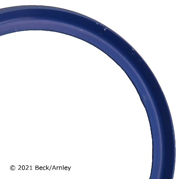 2007-2015 Mini Cooper Fuel Pump Tank Seal (Beck Arnley)