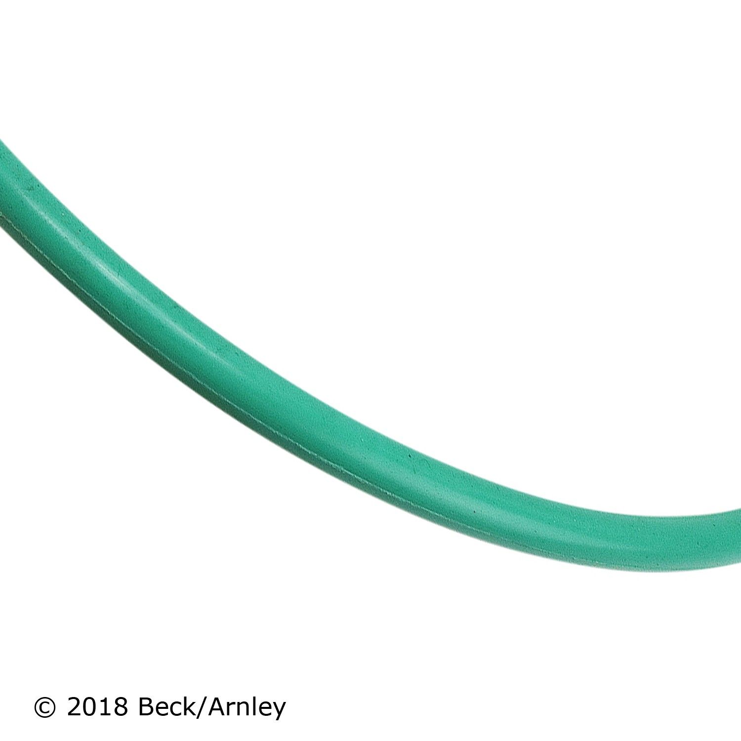 Fuel Pump Tank Seal