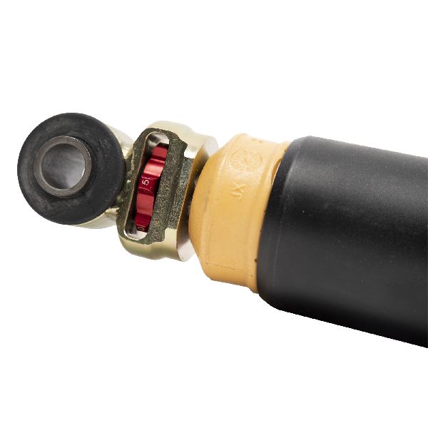 2015-2020 Ford F-150 Suspension Shock Absorber - Rear (Bell Tech)