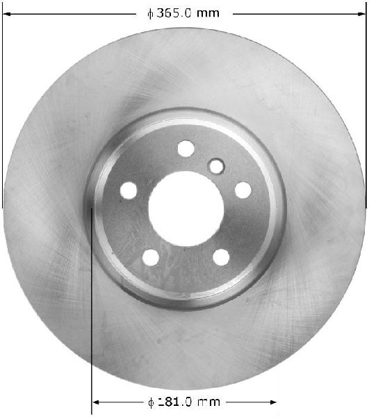 2008-2019 BMW X6 Disc Brake Rotor - Front (Bendix)
