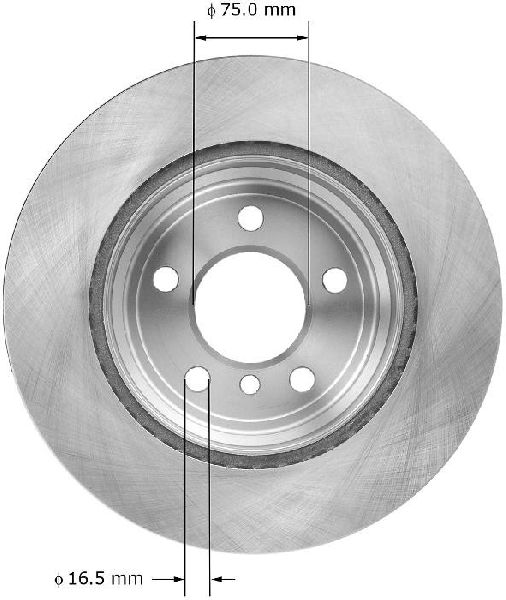 2009-2019 BMW X6 Disc Brake Rotor - Rear (Bendix)