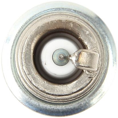 2013-2016 Audi S6 Spark Plug (Beru)