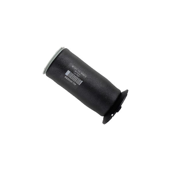 2009-2010 BMW 535i xDrive Air Suspension Spring - Rear (Bilstein)