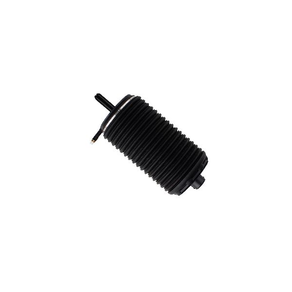 2015-2019 Porsche Macan Air Suspension Spring - Rear Left (Bilstein)
