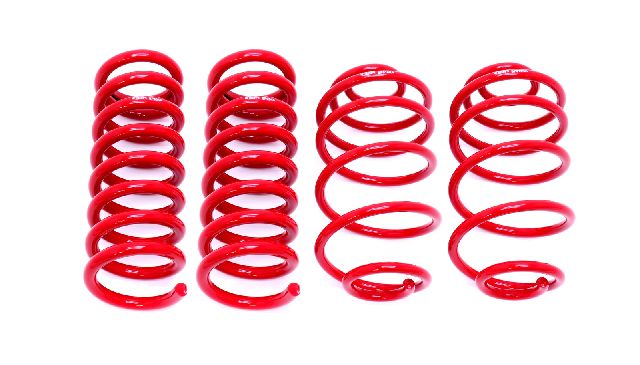 1967-1972 Pontiac GTO Suspension Struts / Shock Absorbers / Coil Springs (BMR Suspension)
