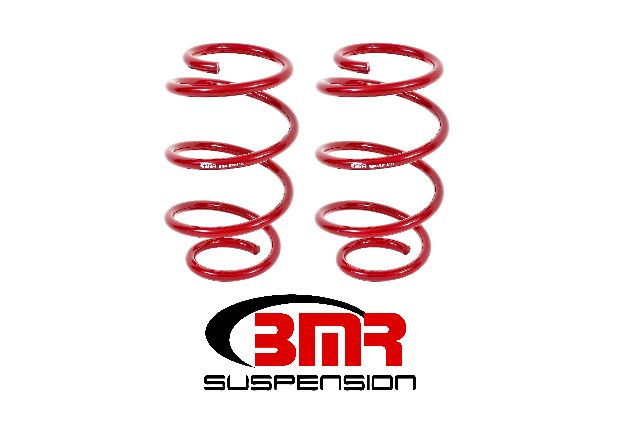 2015-2020 Ford Mustang Suspension Struts / Shocks / Coil Springs / Camber (BMR Suspension)