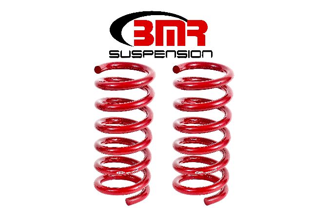 2015-2020 Ford Mustang Suspension Struts / Shocks / Coil Springs / Camber (BMR Suspension)