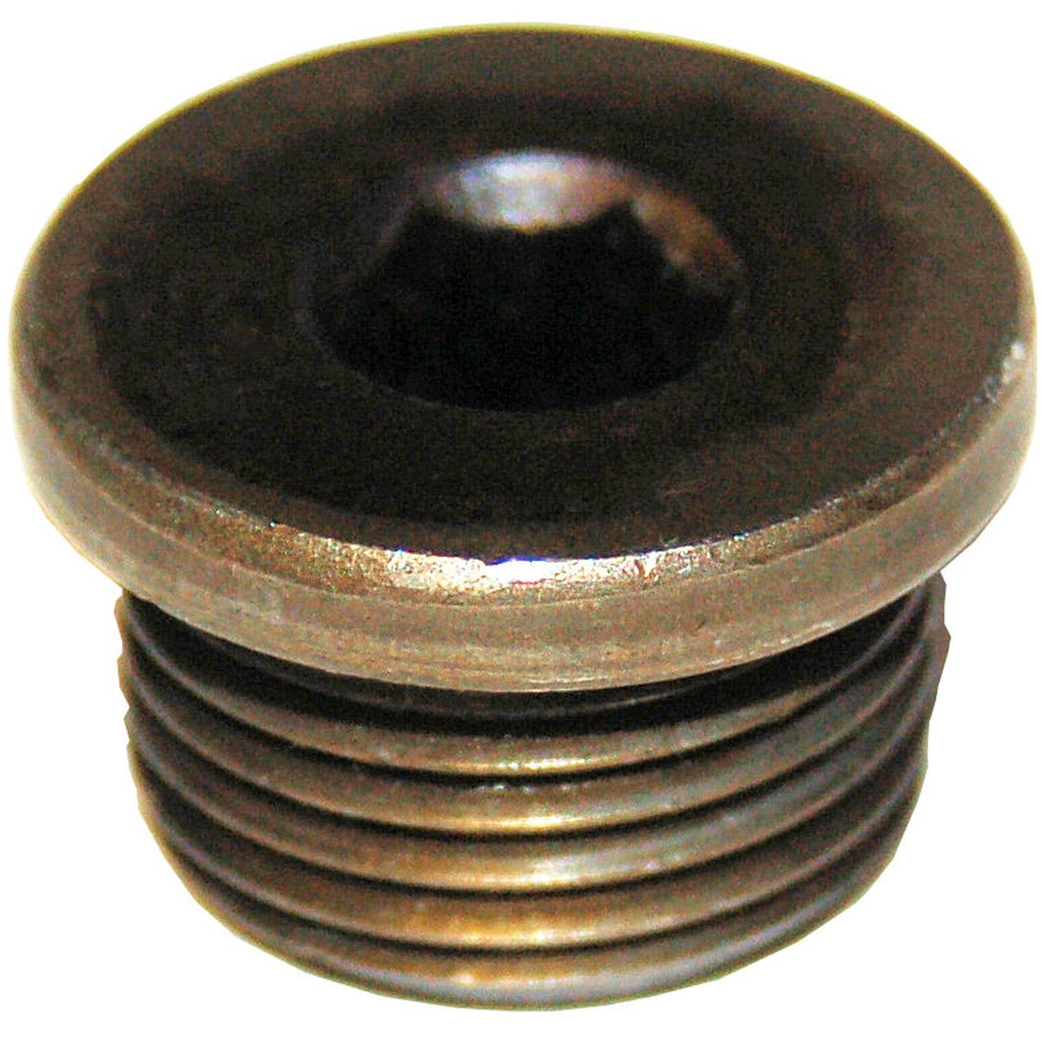 Oxygen Sensor Bung Plug Replacement (Bosal, Walker) » GoParts