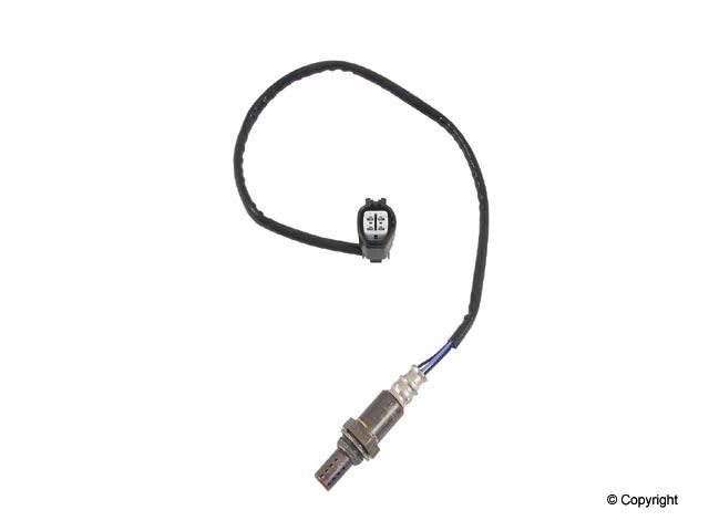 View 5