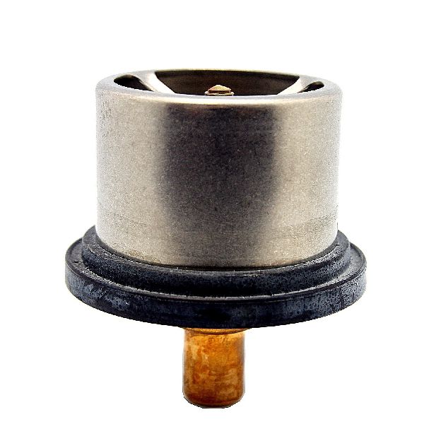 2006-2010 BMW M5 Engine Coolant Thermostat (Calorstat)
