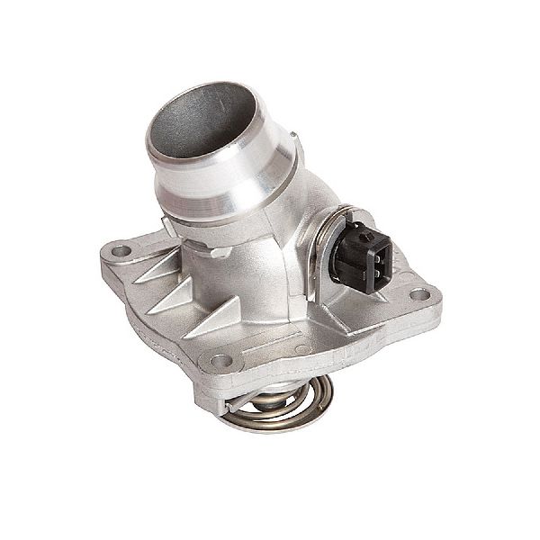 1998-2001 BMW 740i Engine Coolant Thermostat (Calorstat)