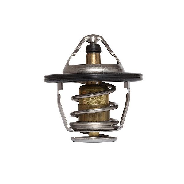2006-2011 Hyundai Azera Engine Coolant Thermostat (Calorstat)
