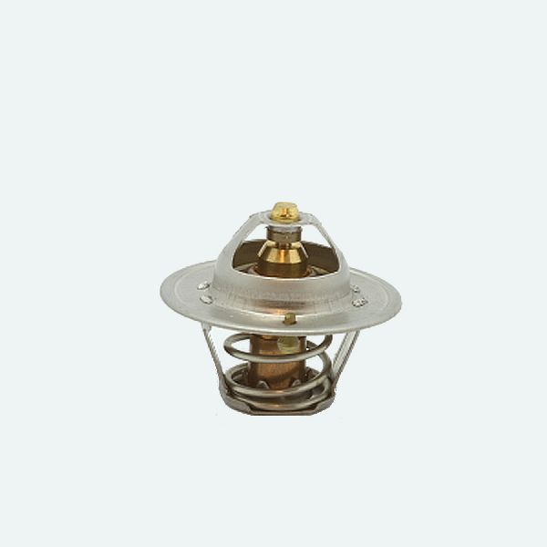 2000-2006 Audi TT Engine Coolant Thermostat (Calorstat)