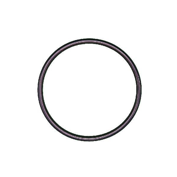 1995-1996 Jaguar XJS Engine Coolant Thermostat Seal (Calorstat)