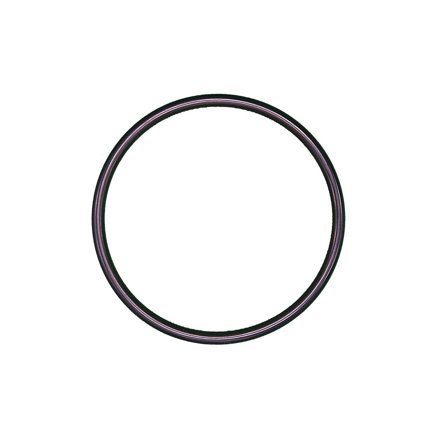 Engine Coolant Thermostat Seal