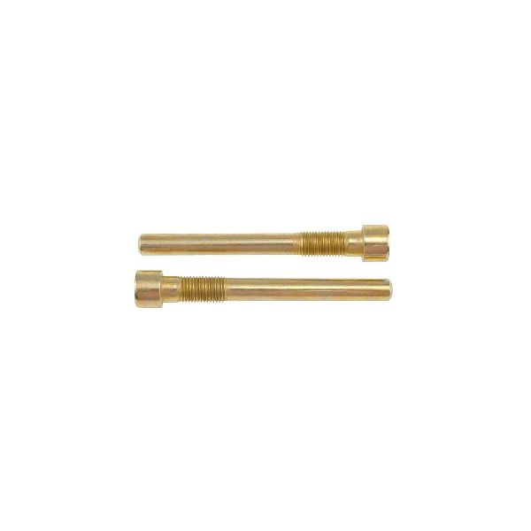 1973-1977 Buick Century Disc Brake Caliper Pin Kit - Front (Carlson)