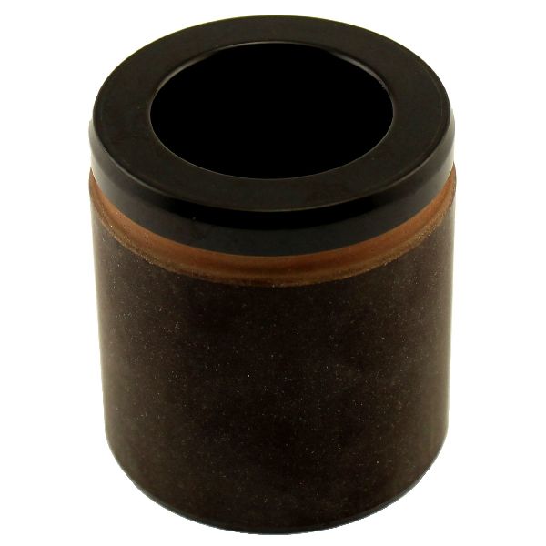 2004-2005 Ford F-150 Disc Brake Caliper Piston - Front (Carlson)
