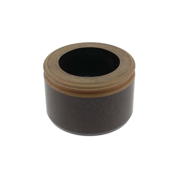 2002-2003 Ford E-150 Disc Brake Caliper Piston - Front (Carlson)
