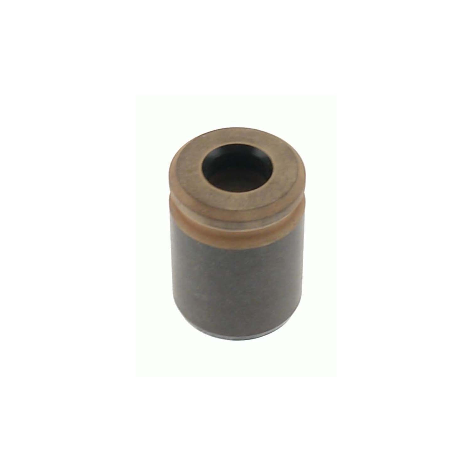 2004, 2003, 2002, 2001, 2000, 1999, 1998 Dodge Intrepid Disc Brake Caliper Piston