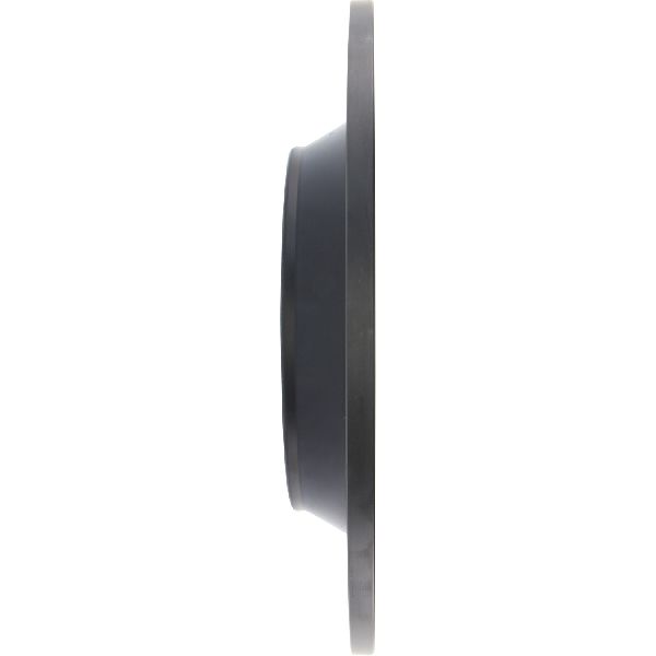 2015-2022 Ford Mustang Disc Brake Rotor - Rear Right (Centric)