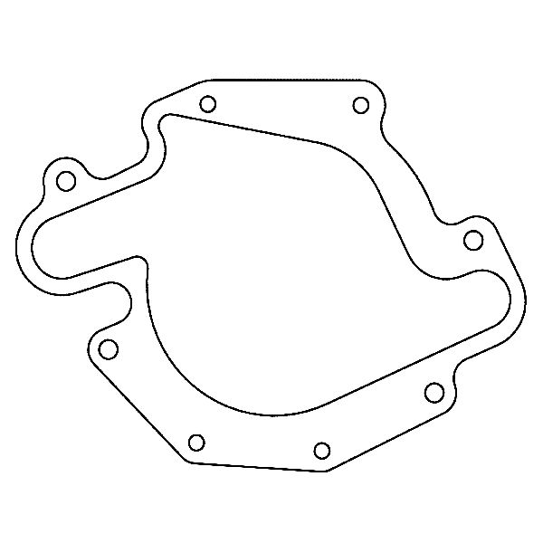 1973-1977 Buick Century Engine Water Pump Gasket (Cometic Gasket)