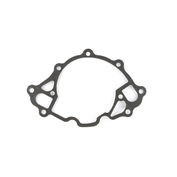 1969-1979 Mercury Cougar Engine Water Pump Gasket (Cometic Gasket)