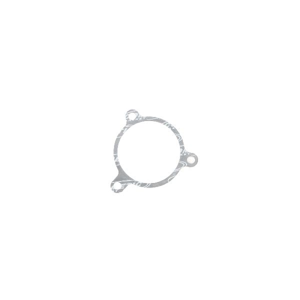 1989-1990 BMW 525i Engine Water Pump Gasket (Cometic Gasket)