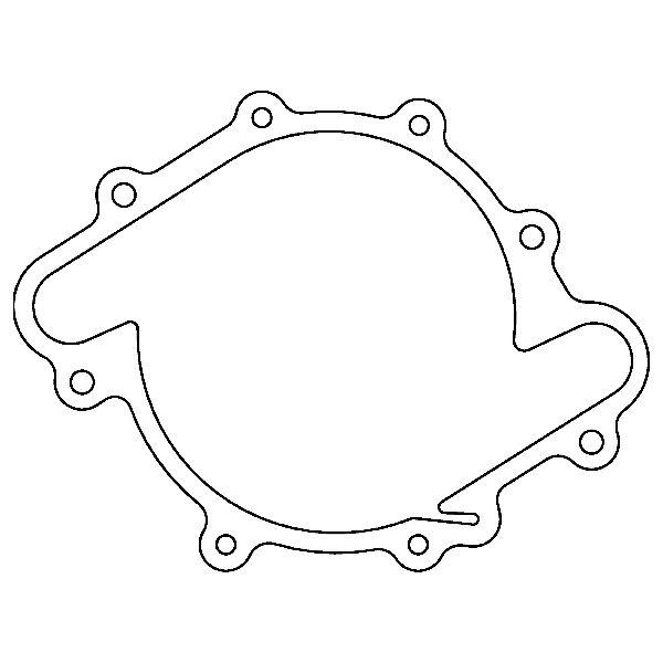 1973-1977 Buick Century Engine Water Pump Gasket (Cometic Gasket)