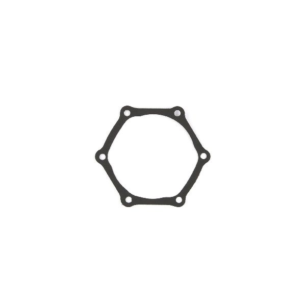 1977-1981 Buick Century Engine Water Pump Backing Plate Gasket (Cometic Gasket)